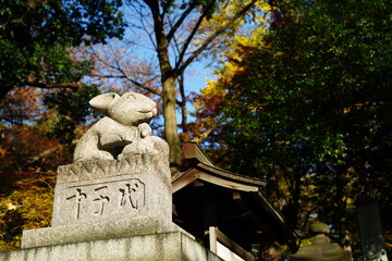 Obraz premium うさぎ、ウサギ、兎、調神社、神社、埼玉県、うさぎ神社、日本、神道、建物、狛うさぎ、彫刻、石像、動物、建物、参拝、初詣、お祈り、詣で、信仰、