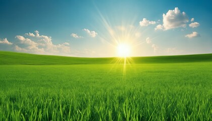 Fototapeta na wymiar Blue sky with sun and green field with grass, beautiful panoramic natural landscape, spring summer background