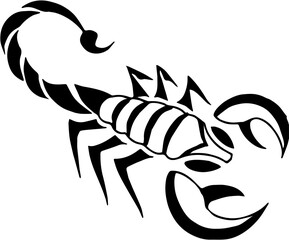 illustration of a wasp