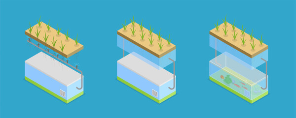 3D Isometric Flat Vector Conceptual Illustration of Growing Systems, Greenhouse Agriculture Methods