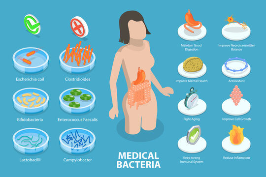 3D Isometric Flat Vector Conceptual Illustration of Medical Bacteria, Healthy Eating for Gut