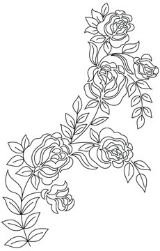 Rose, black and white with lines on a white background. rose flower ornament