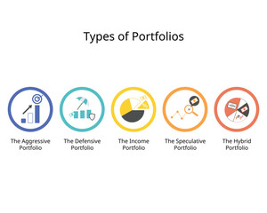 The investment portfolio type vary depending on the investment goals, risk tolerance, and financial situation of a person such as aggressive portfolio