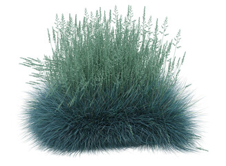 Various types of flowers grass bushes shrub and small plants isolated	