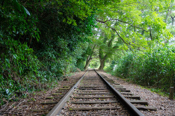 旧国鉄倉吉線廃線跡