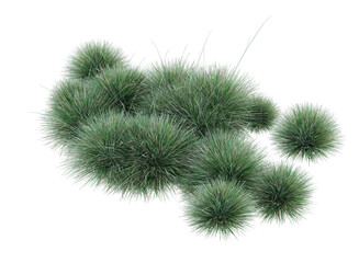 grass set isolated 