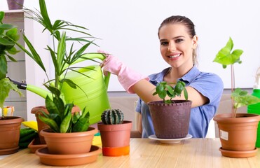 Young female gardener with plants indoors