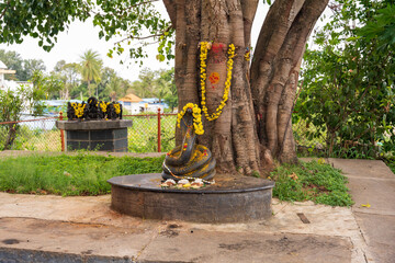 The Indian Shiva Temple. Spiritual, Mystical and Religious Traditions of India, pooja. Beautiful...