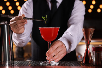 Bartender preparing fresh Martini cocktail in glass at bar counter, closeup