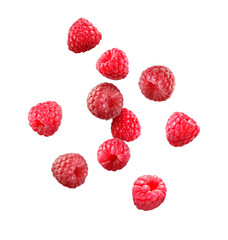 Many fresh ripe raspberries falling on white background