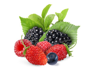 Wild berries. Blackberries, raspberries, strawberries, bilberry and green leaves isolated on white