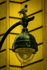 old street lamp