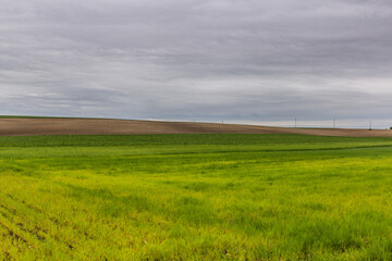 Green landscape near Lysa nad Labem, Czech Republic