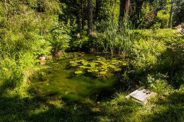 Small pond in Bohemian Switzerland, Czech Republic
