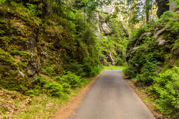 Fototapeta na wymiar Road in the National Park Bohemian Switzerland, Czech Republic