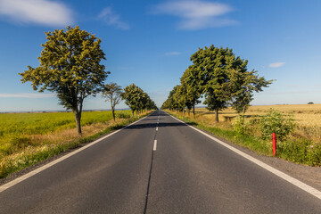 Fototapeta premium I/16 road in the Czech Republic