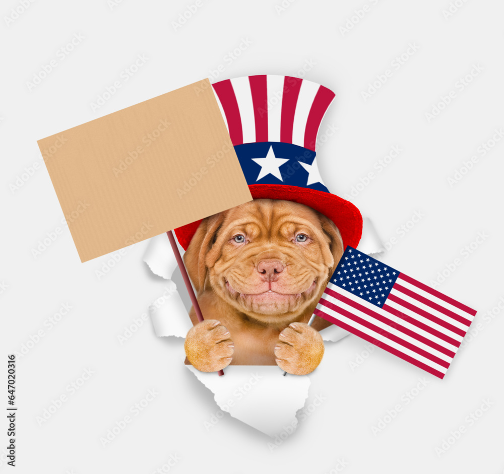 Poster smiling mastiff puppy wearing like uncle sam looking through a hole in paper and shows empty placard