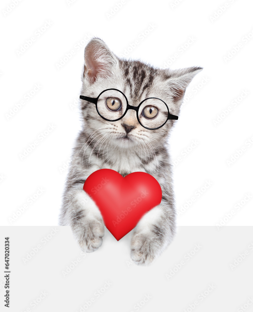 Aufkleber smart cat wearing eyeglasses holds red heart above empty white banner. isolated on white background