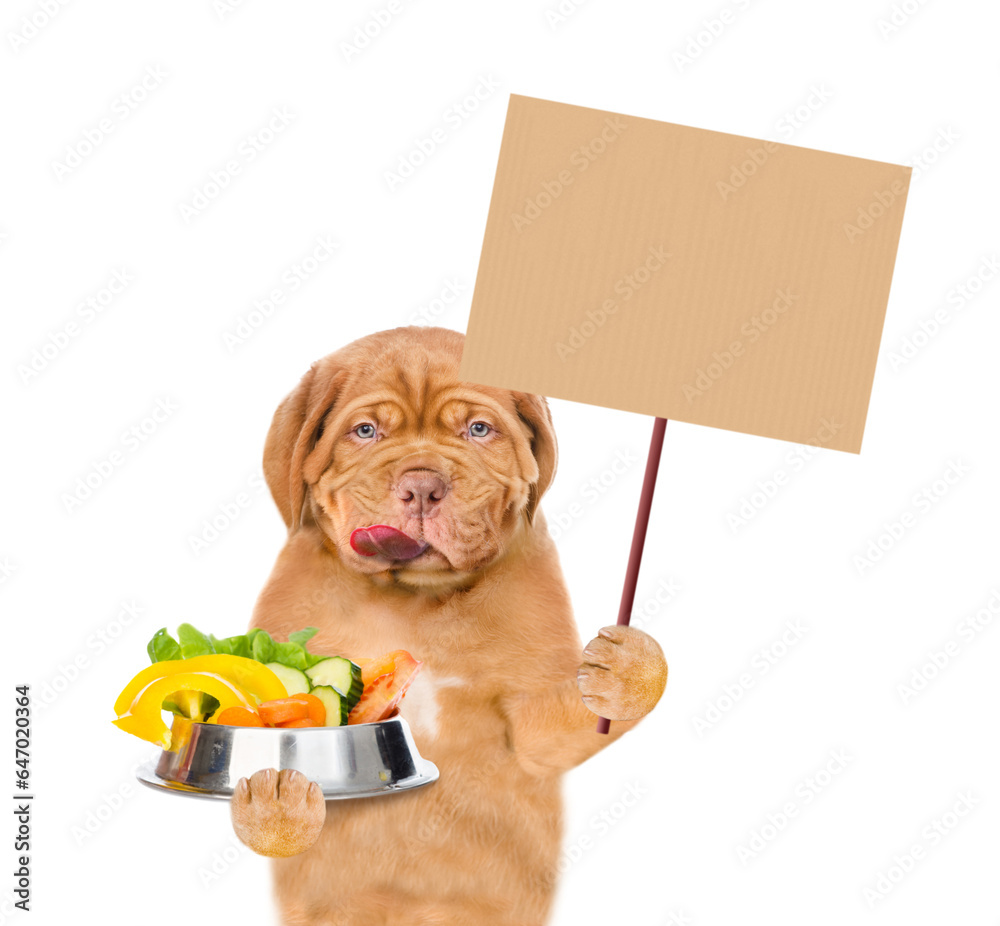 Poster licking lips puppy holds bowl of vegetables and shows empty placard. isolated on white background
