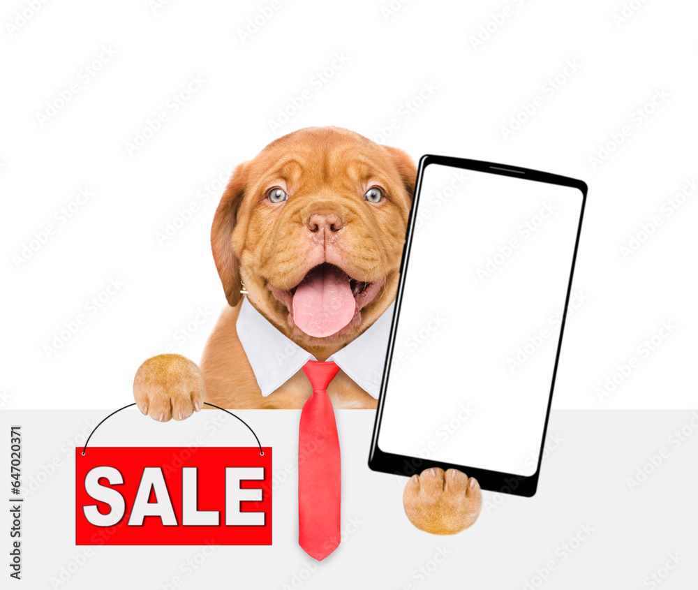 Poster smart mastiff puppy wearing necktie shows signboard with labeled 
