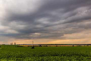 Evening view of fields near Kolin, Czech Republic