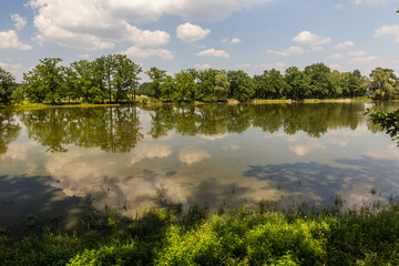 Machovec fish pond in Southern Bohemia, Czech Republic