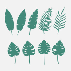 set of simple tropical leaf vector 