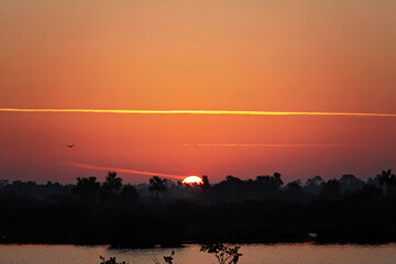 Fototapeta premium Florida Sunrise