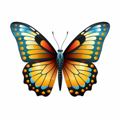 Excellent Butterfly Imagery Winged Harmony