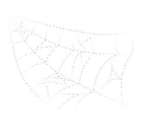Spiderwebs isolated on white grunge background. Cobweb in the corner. Halloween party. Gothic style. Halloween decoration. Copy space