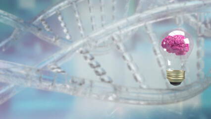 The brain in light bulb for creative or sci concept 3d rendering.