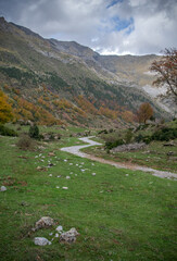 Fototapeta na wymiar Paisaje con camino serpenteante y montañas en otoño