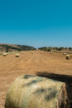 Paisaje de campo labrado con montones de heno