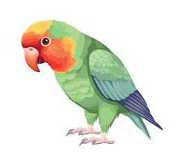 Multi-colored macaw flying on tropical branch