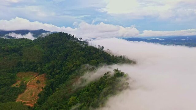 The mist on the mountain peak was flowing down from the mountain into the valley..slow floating fog blowing cover on the top of mountain look like as a sea of mist. .tropical rainforest background..