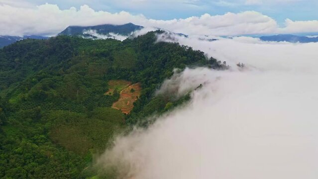 .aerial view scenery white mist on the mountain in tropical rainforest..The dense mist on the mountain peak was slowly flowing down into the valley..beautiful scenery view in Phang Nga valley