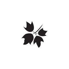 leaf graphic vector illustration and imagination