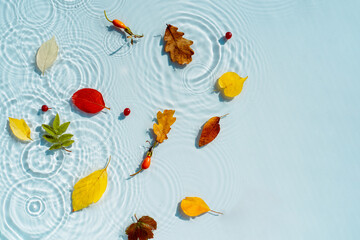 Autumn background with colorful autumn leaves on the water with rain drops