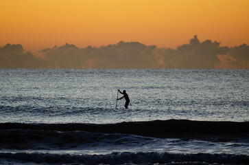 silhouette man surfing paddle surf in Sunshine Coast Queensland Australia at sunrise