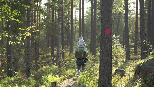 Father with small child hiking outdoors in summer nature. A man and a boy go hiking in forest with a backpack in Finland. Son sitting on his father's shoulders. Back view