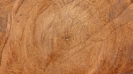 Brown wood surface with unique natural textures, showcasing patterns and details perfect for design or background use.