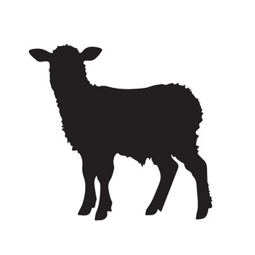 recommend clip art: lamb silhouette