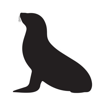 recommend clip art: seal silhouette