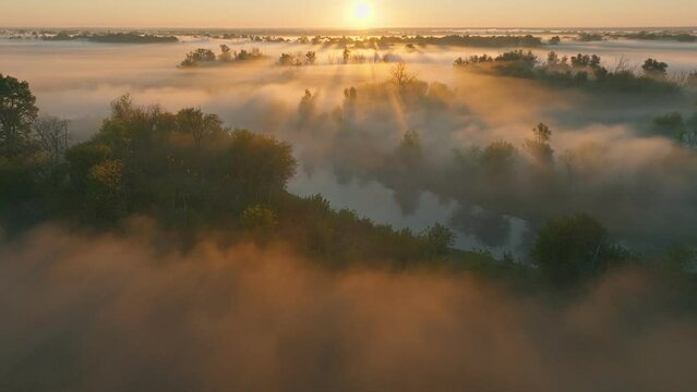 Fog nature sun morning river forest view lanscape travel foggy