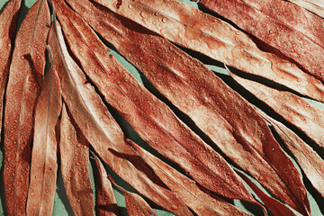 Natural autumn texture from narrow red leaves with water drops. Beautiful autumnal botanical pattern, close up wet fall leaf of willow top view, aesthetic nature still life, macro photography