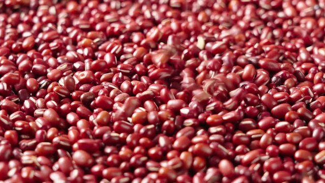 Closeup grain red beans or azuki beans falling rotating.