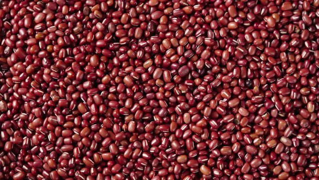 Closeup grain red beans or azuki beans rotating.