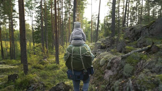 Father with small child hiking outdoors in summer nature. A man and a boy go hiking in forest with a backpack in Finland. Son sitting on his father's shoulders. Back view