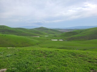 Fototapeta premium Rain water ponds from winter rains in the East Bay Hills near San Francisco, California