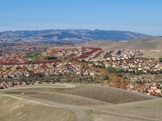 The streets of San Ramon are lined with Callery Pear and Sycamore trees that turn red and yellow in November